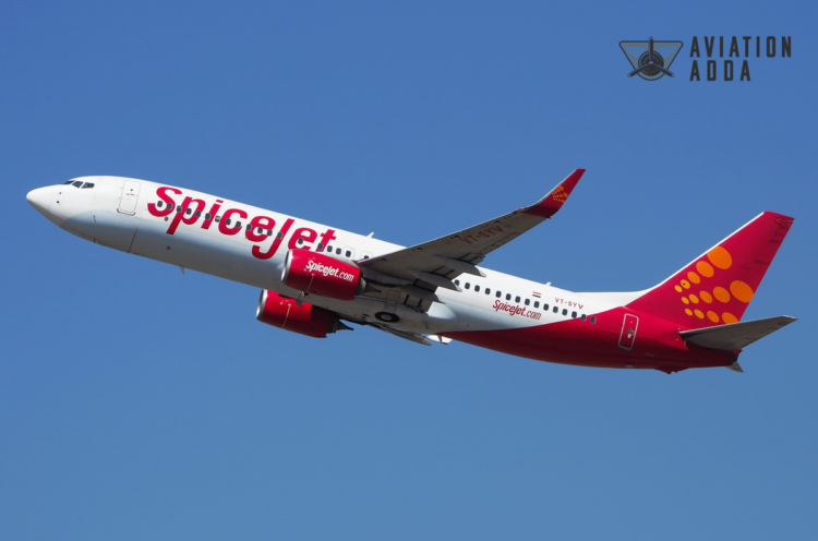SpiceJet Employee Termination